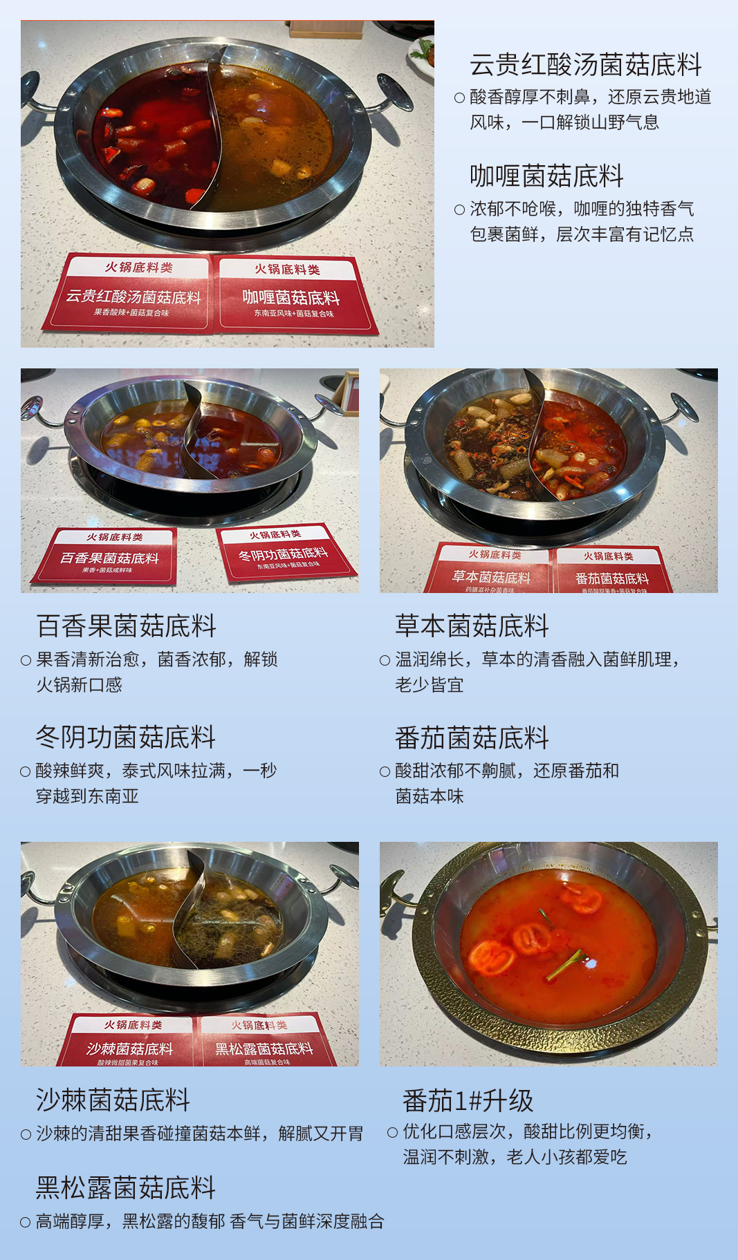 底料拼图1.jpg