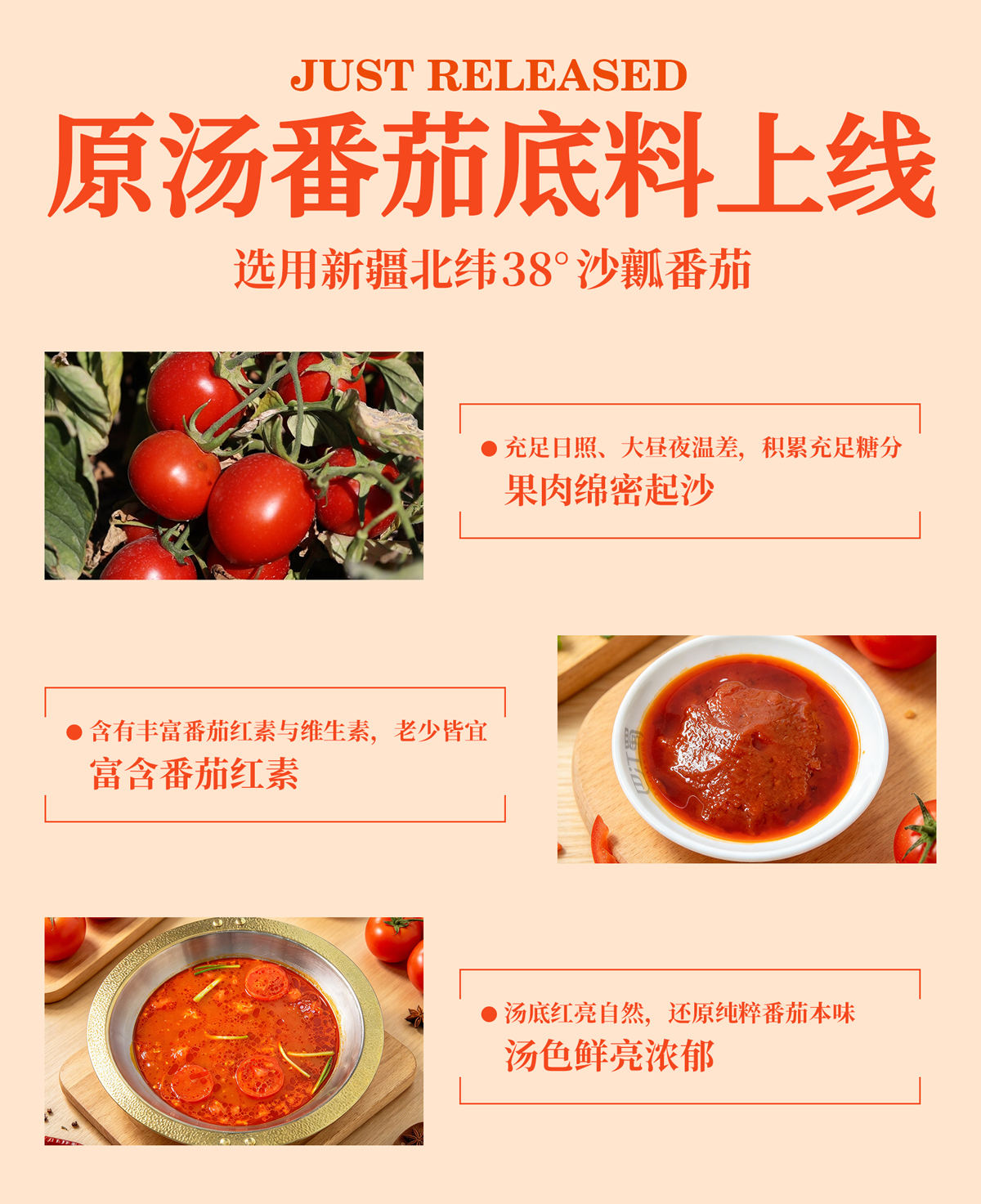 原汤番茄_02.jpg